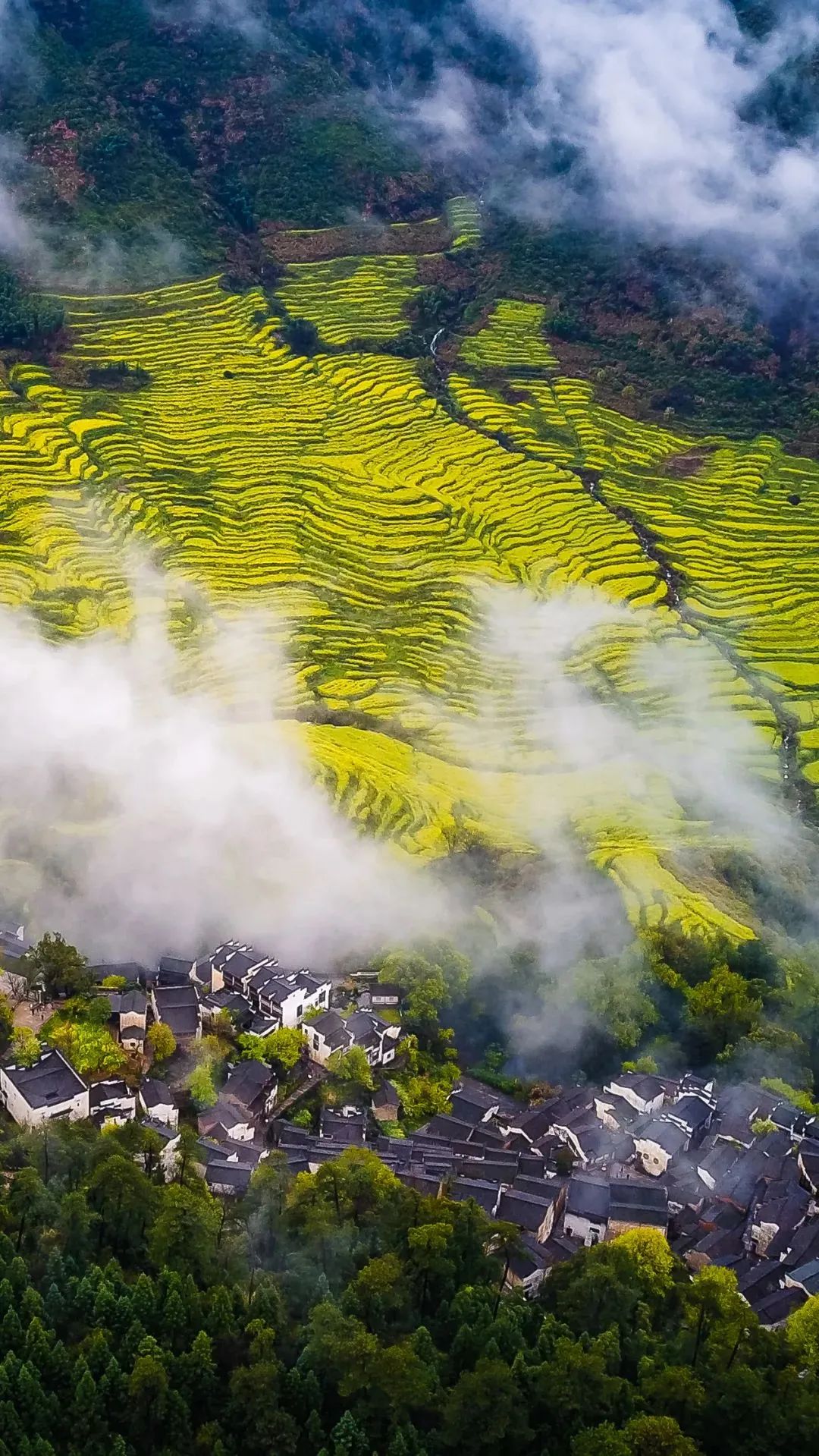 江西深巷中的秘密花园，探寻江西特色小店之谜