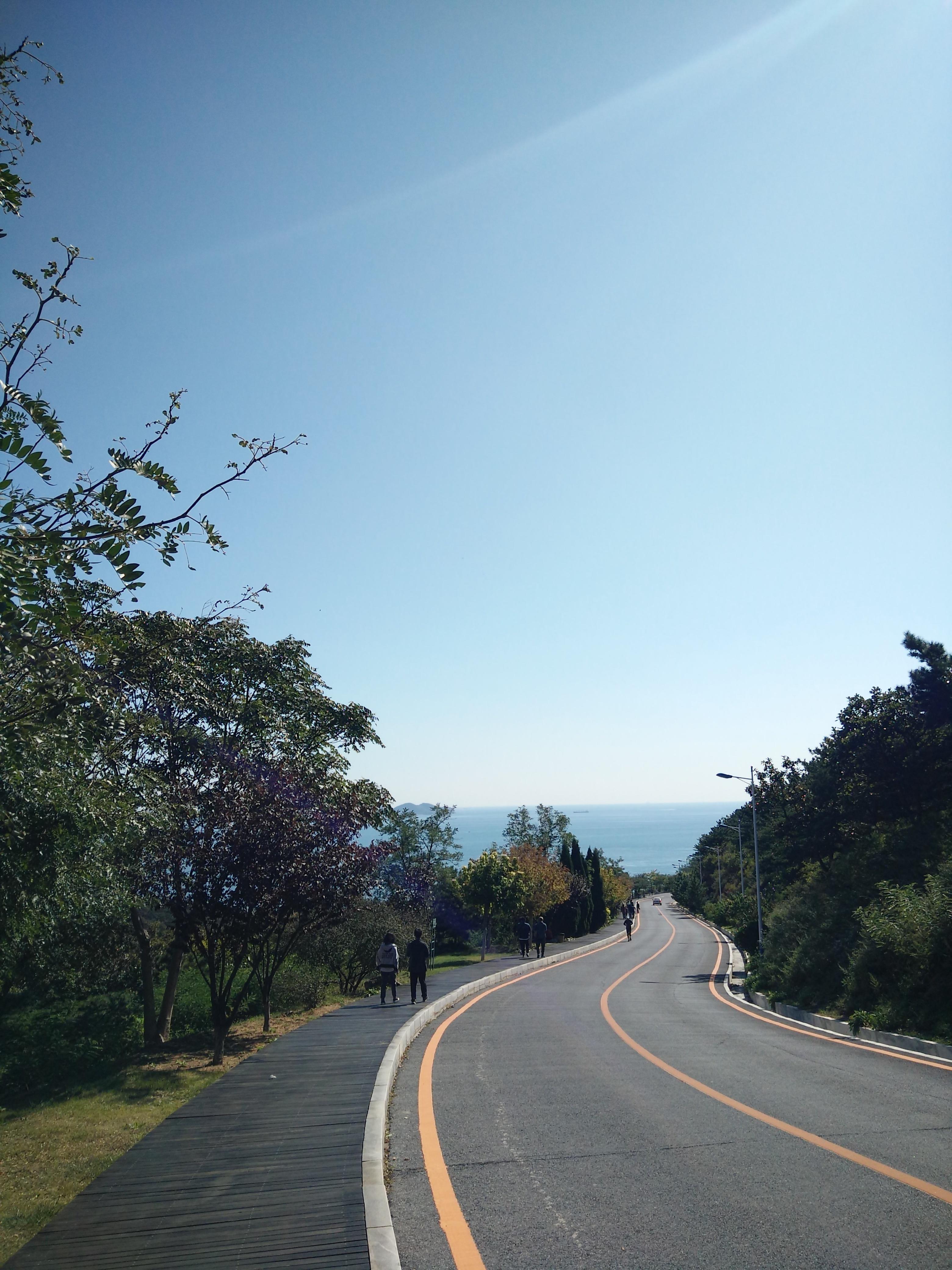 大连,活力四溢的海滨明珠之城